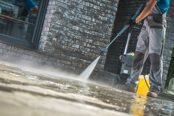 Best Driveway Pressure Washing  in Rodney Village, DE