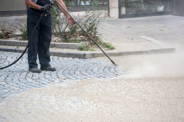 Best Gutter Cleaning  in Rodney Village, DE