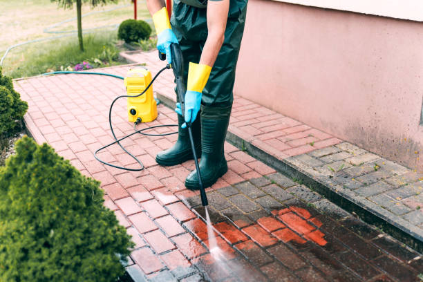 Professional Pressure washing in Rodney Village, DE